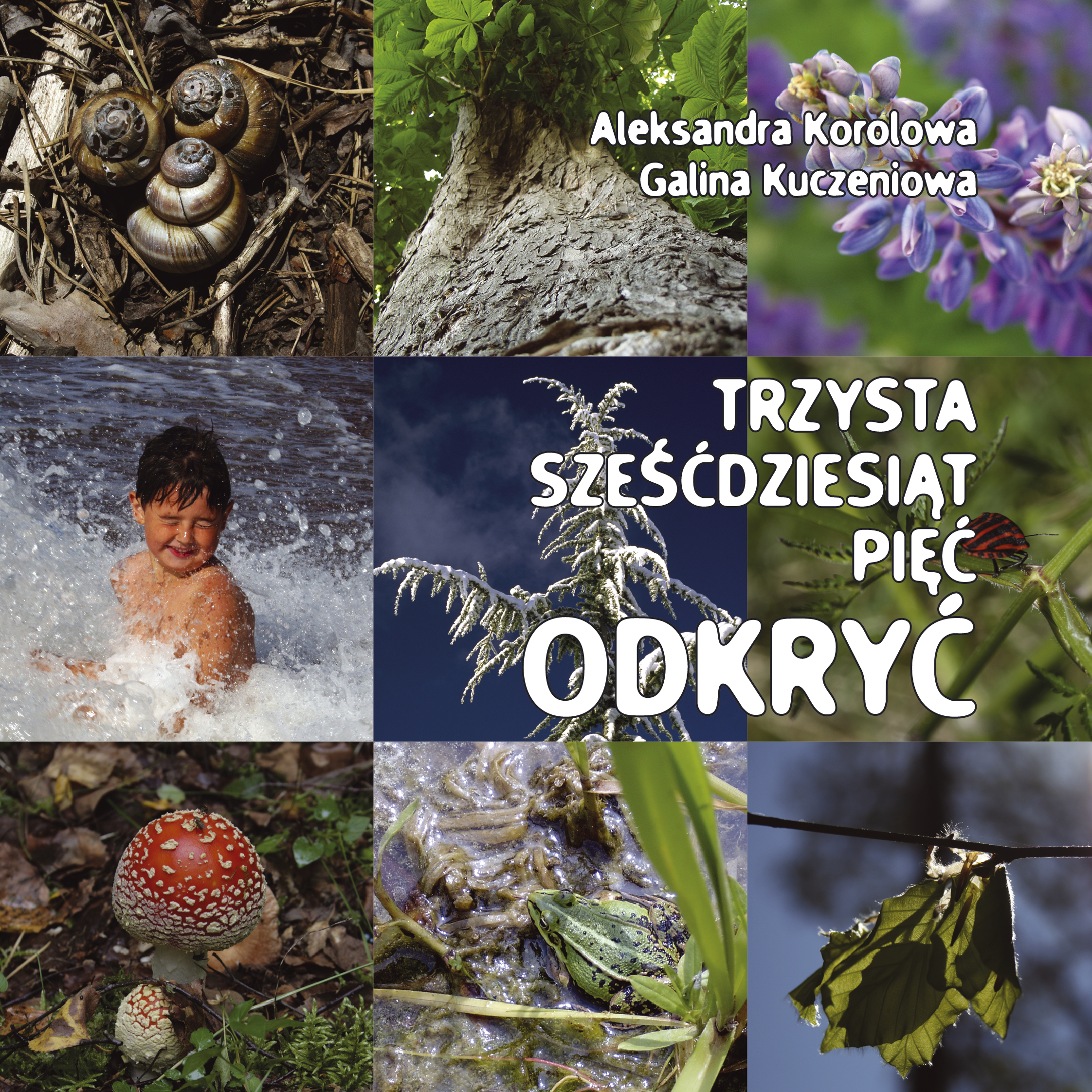 Okładka: 365 Odkryć
