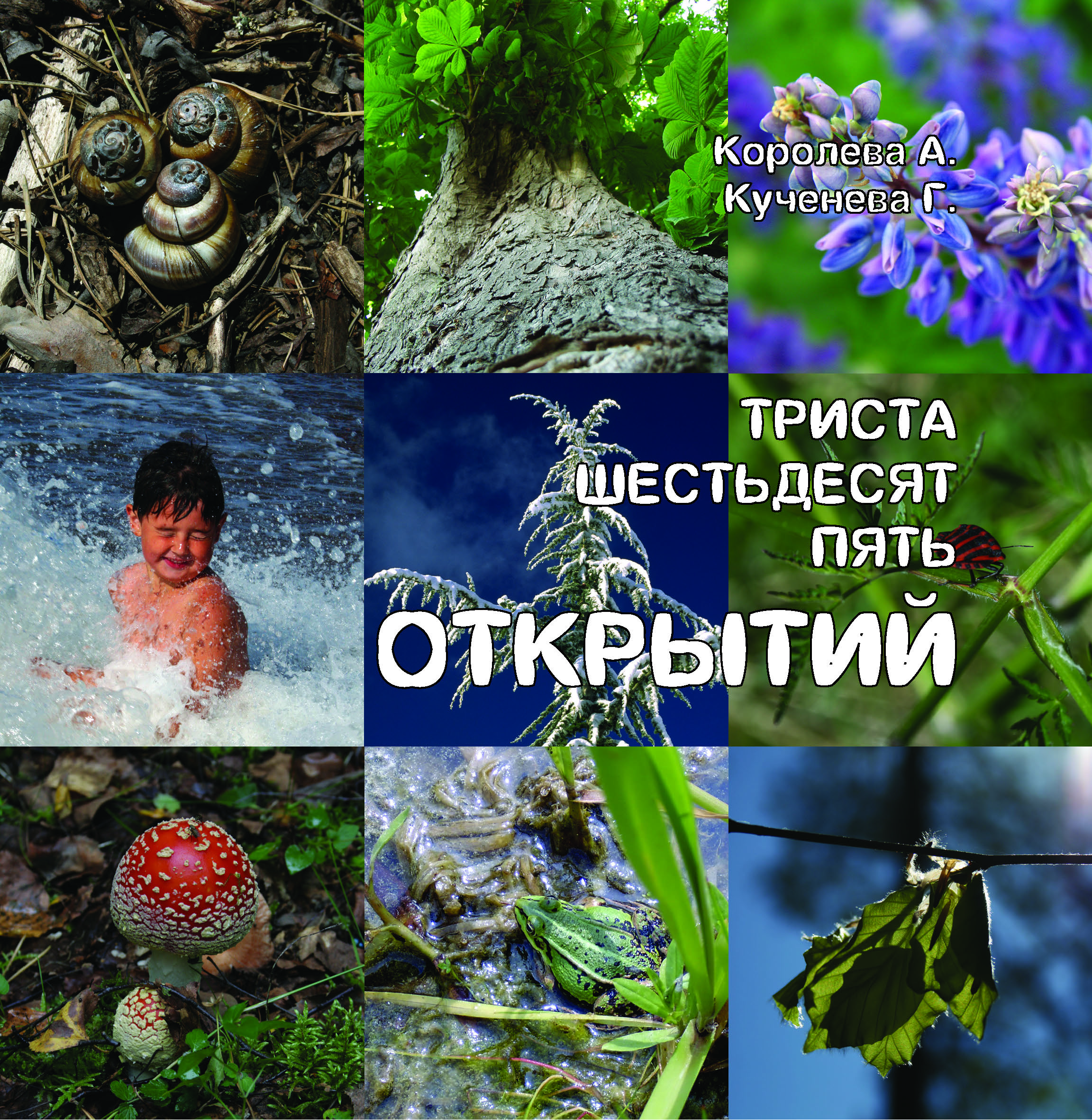 Okładka: 365 открытий