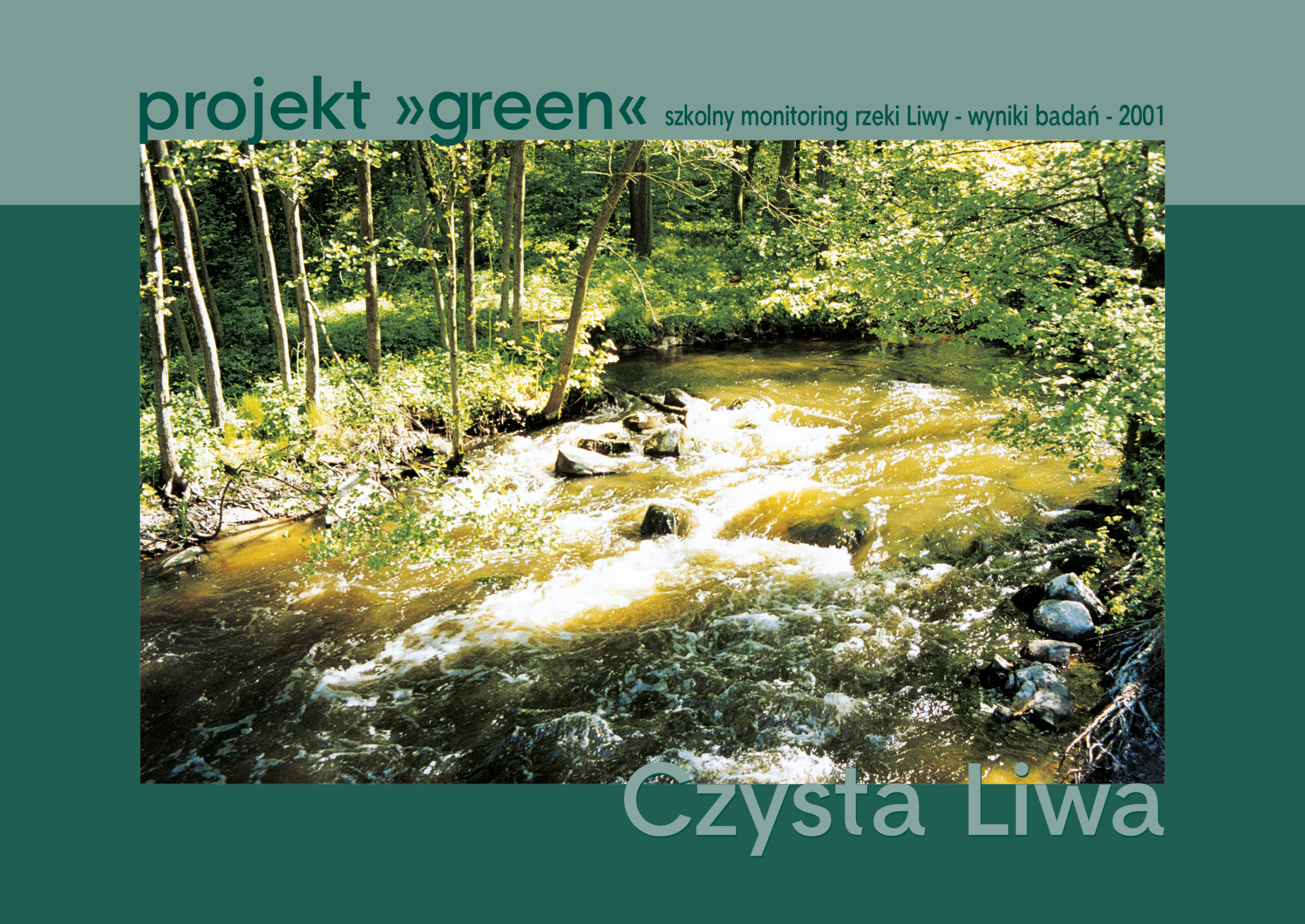 Okładka: Czysta Liwa