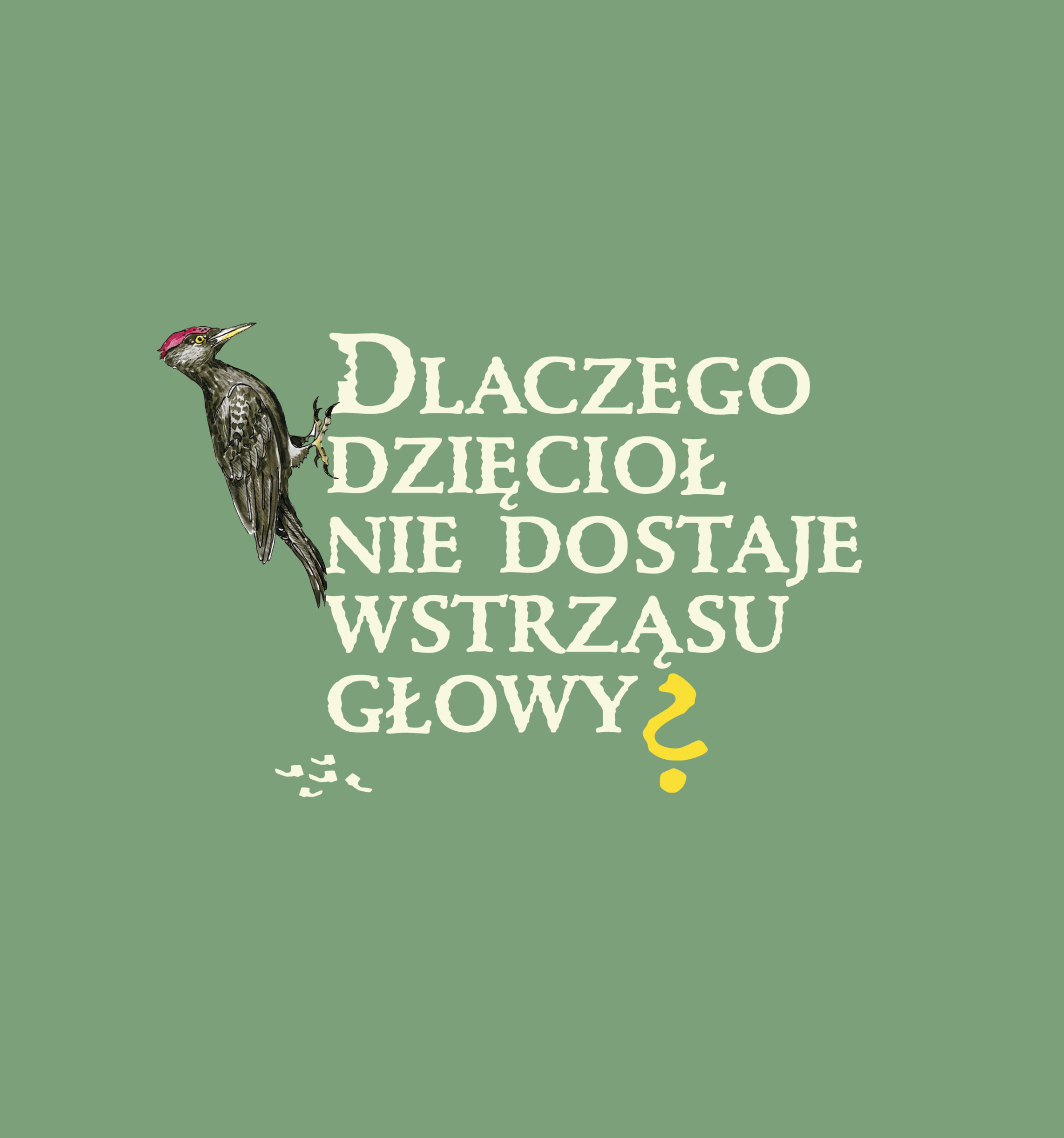Okładka: Dlaczego dzięcioł nie dostaje wstrząsu głowy?