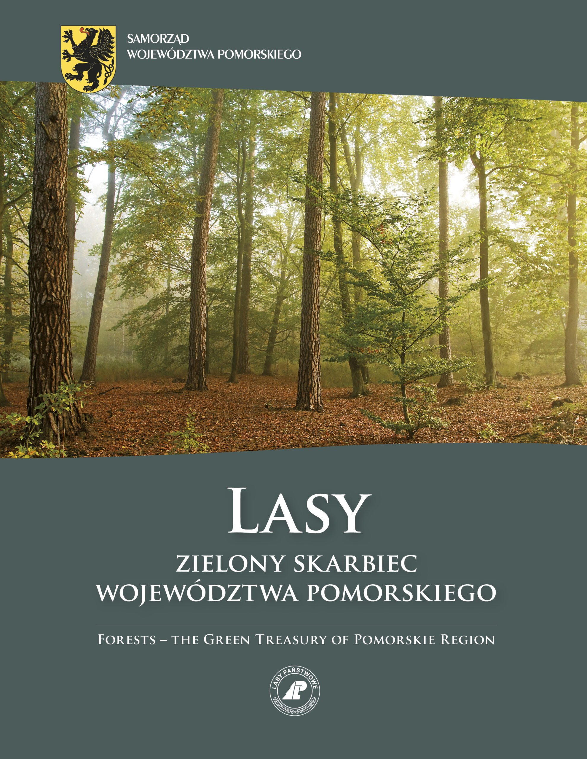 Okładka: Lasy