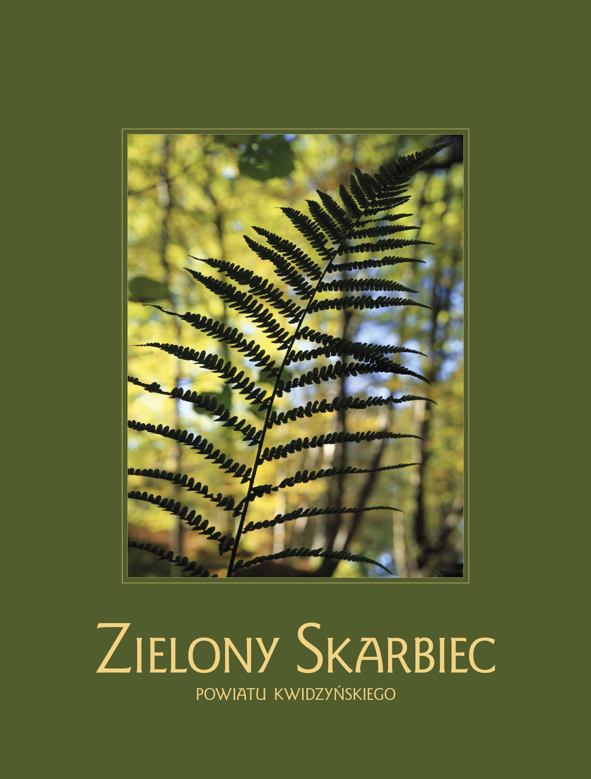 Okładka: Zielony skarbiec powiatu kwidzyńskiego