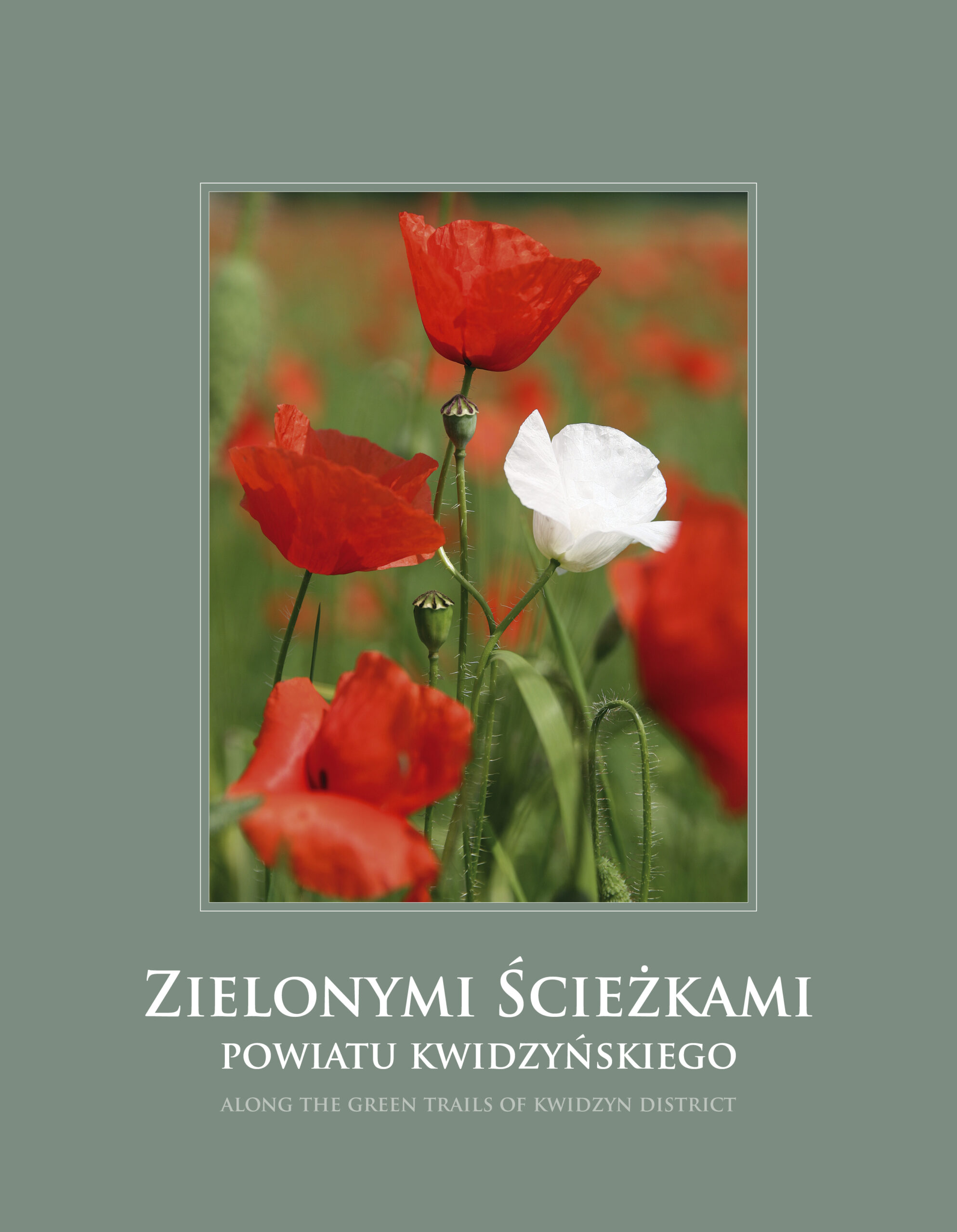 Okładka: Zielonymi szlakami powiatu kwidzyńskiego