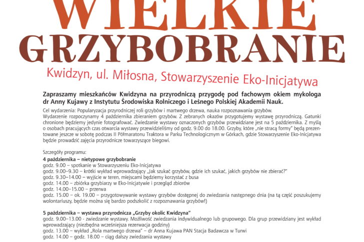 blog-image