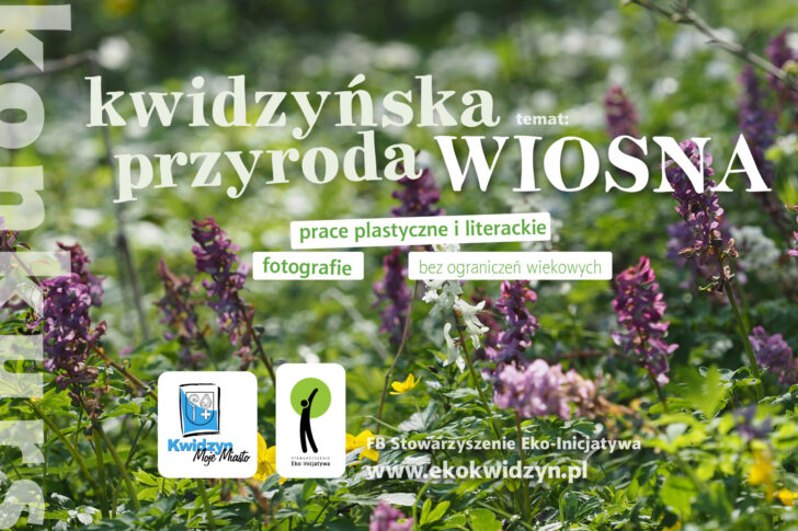 blog-image