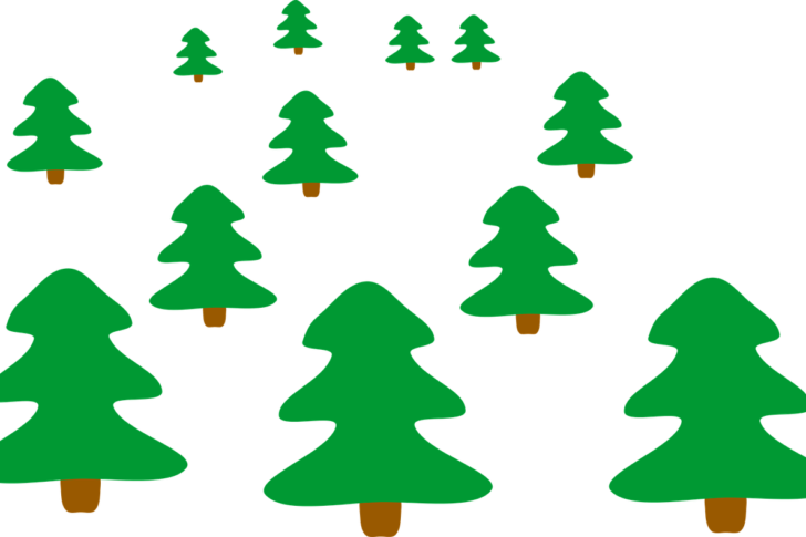 blog-image